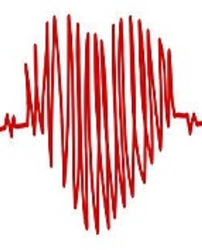 Linee Guida sulla gestione della cardiopatia ischemica in ambito penitenziario